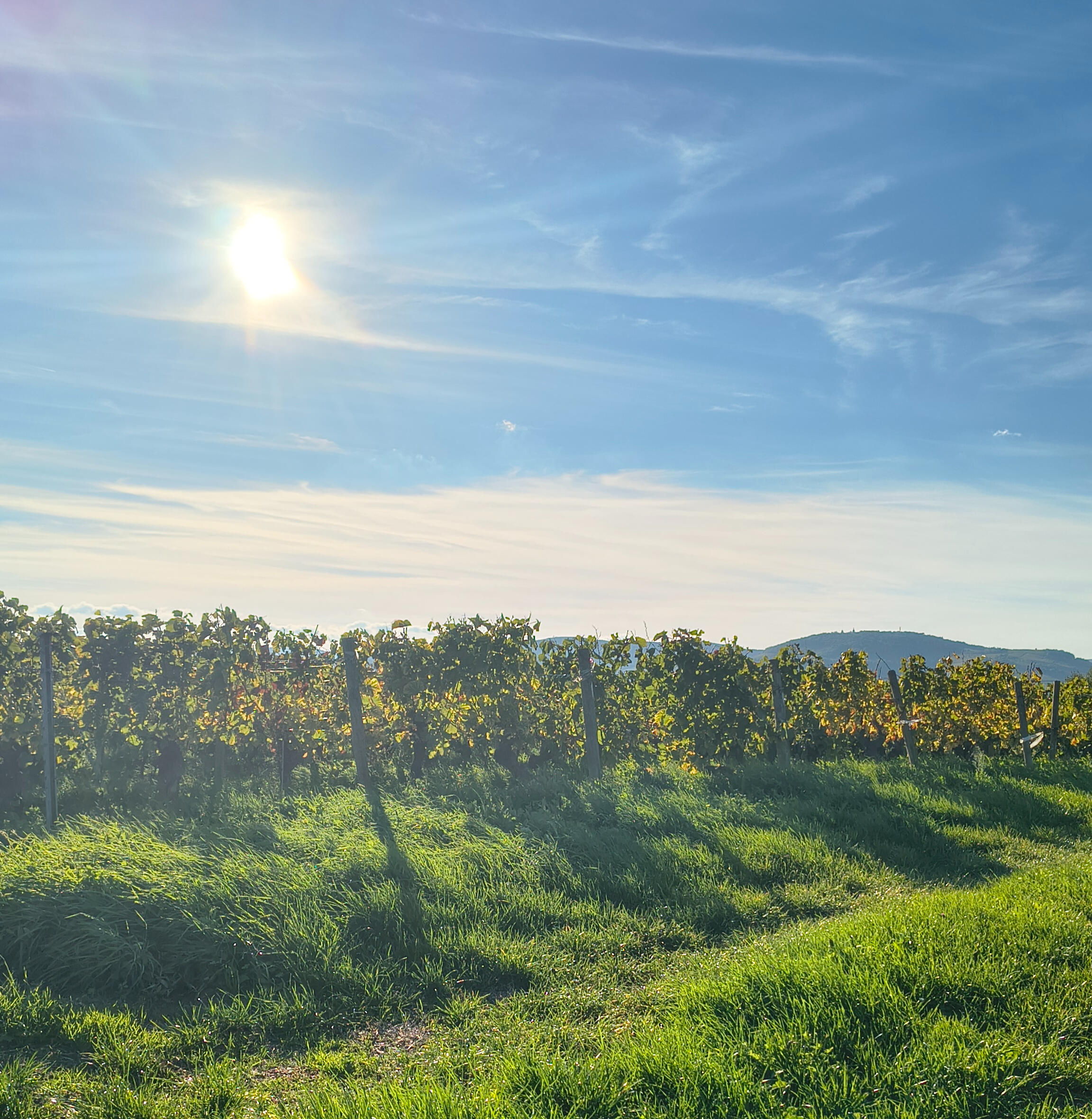 therapie-artistique-14 therapie-artistique-14